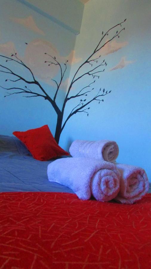 Nomad Bed & Breakfast San Carlos de Bariloche Dış mekan fotoğraf